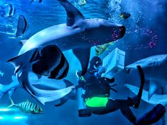 -太平洋海底世界