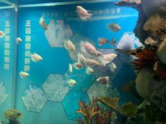 -福州罗源湾海洋世界旅游区