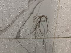 -大连心悦大酒店