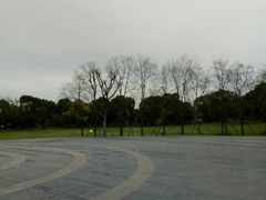 -上海长江河口科技馆