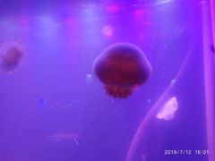 -欧亚达商业广场(红桥店)