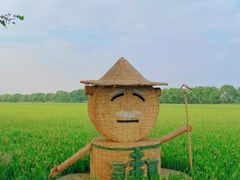 -嘉北郊野公园