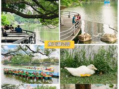 -荔湾湖公园