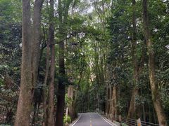 -缙云山景区
