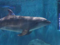 -福州罗源湾海洋世界旅游区