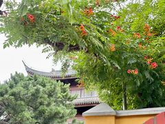 -龙华寺
