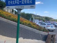 -大芦花风景区