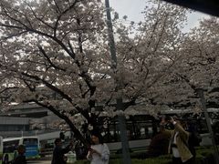 -上海南浦大桥长途旅游客运站