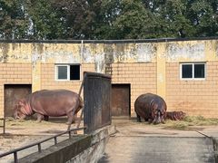 -合肥野生动物园