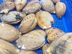 -优食坊·蒸汽海鲜(康盛路店)
