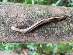 -溪口-滕头旅游景区