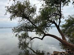 -西昌邛海湿地