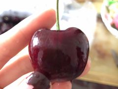 -菜园坝水果市场