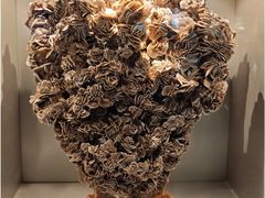 -甘肃地质博物馆