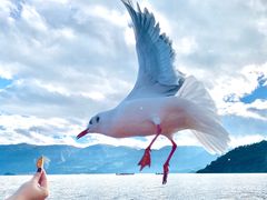 -丽江泸沽湖景区