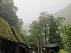 -碧峰峡风景区