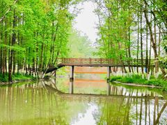 -桤木河湿地公园