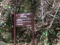 -山沟沟景区