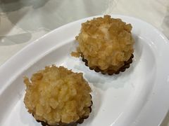 -丁老爷子苏香圆