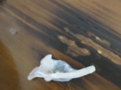 -侬佳蒸菜馆(听潮店)