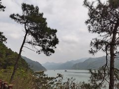 -羚羊峡古栈道森林公园