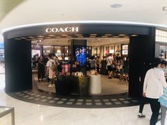 -乐天免税店(明洞店)