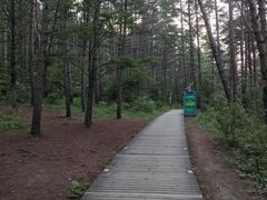 -帽儿山国家森林公园