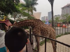 -灵玲国际马戏城
