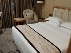 -长沙小天鹅戴斯酒店