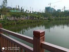 -枫香湖儿童公园