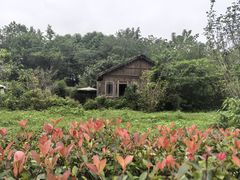 -桤木河湿地公园