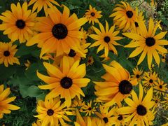 -永定河休闲森林公园