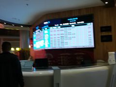 -奥斯卡升龙国际影城(RealD Cinema)