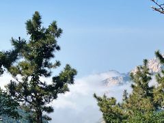 -青岛崂山太清宫