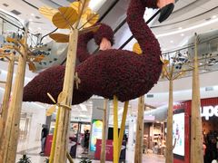 -凯德广场(学府店)