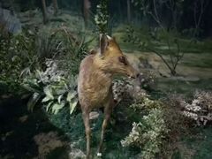 -陕西自然博物馆