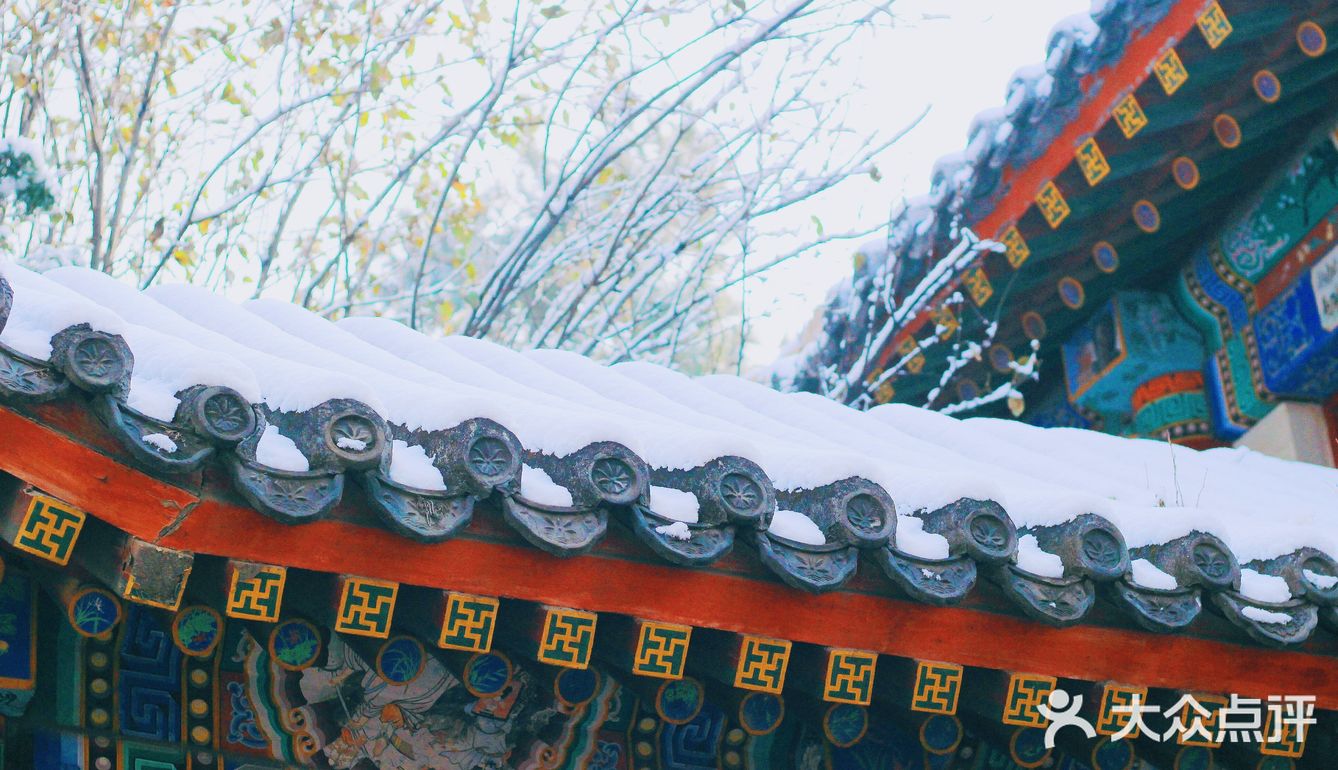 燕园初雪，还有你。