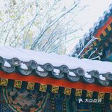 燕园初雪，还有你。