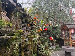 -青城甲(青城山店)