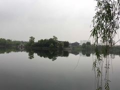 -杏花村文化旅游区