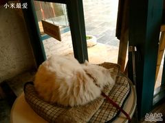 -Babycat私家御饼屋(龙头路一店)