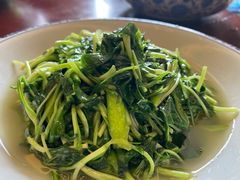 -鹅湖玫瑰文化园