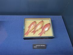 -上海公安博物馆