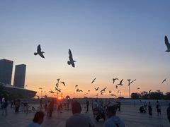 -东港音乐喷泉广场