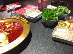 -熊喵来了火锅(太原里第2分店)