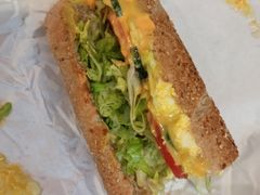 -赛百味SUBWAY(高新绿宝店)