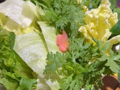-清真京华源·涮肉烧烤(丰庆店)