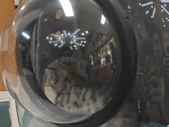 -联合动物医院(光谷诊疗中心)