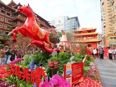 -越秀西湖花市(广州城市广场花卉店)