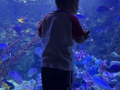 -太平洋海底世界